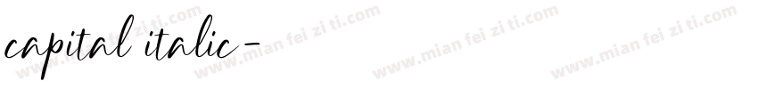 capital italic字体转换